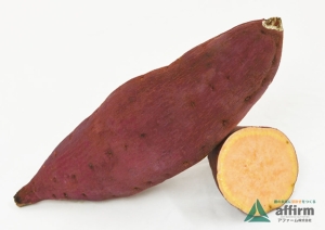 ハロウィンスウィート【登録品種】