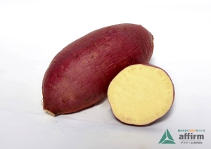 シルクスイート