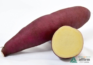 あいこまち【登録品種】